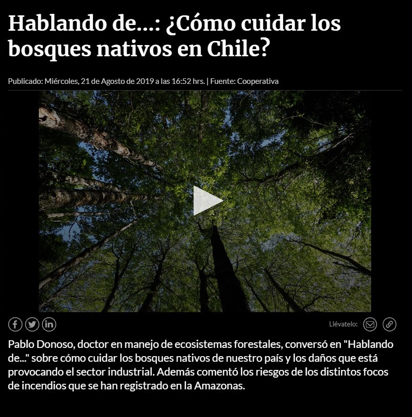 Hablando de...: ¿Cómo cuidar los bosques nativos en Chile?