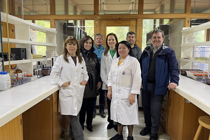 Reacreditan Laboratorio de Nutrición y Suelos Forestales de la UACh