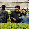 Estudiantes descubrieron en terreno técnicas de producción de plantas en vivero