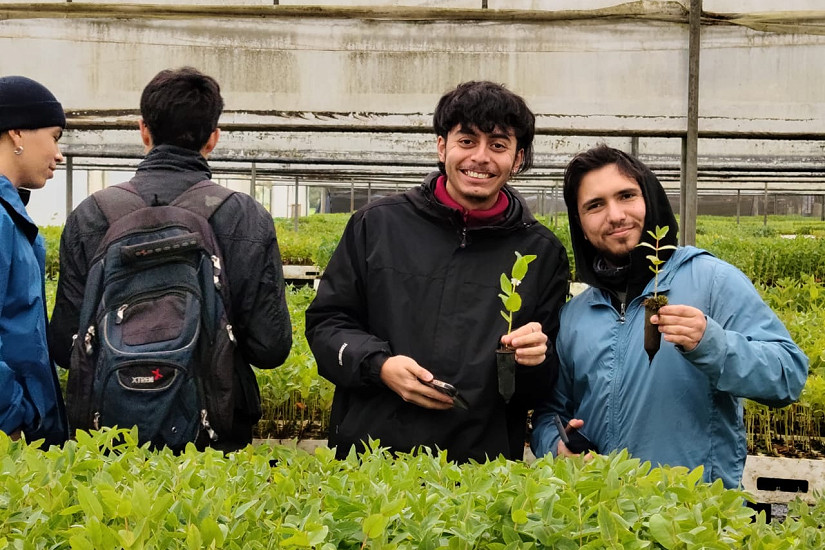 Estudiantes descubrieron en terreno técnicas de producción de plantas en vivero