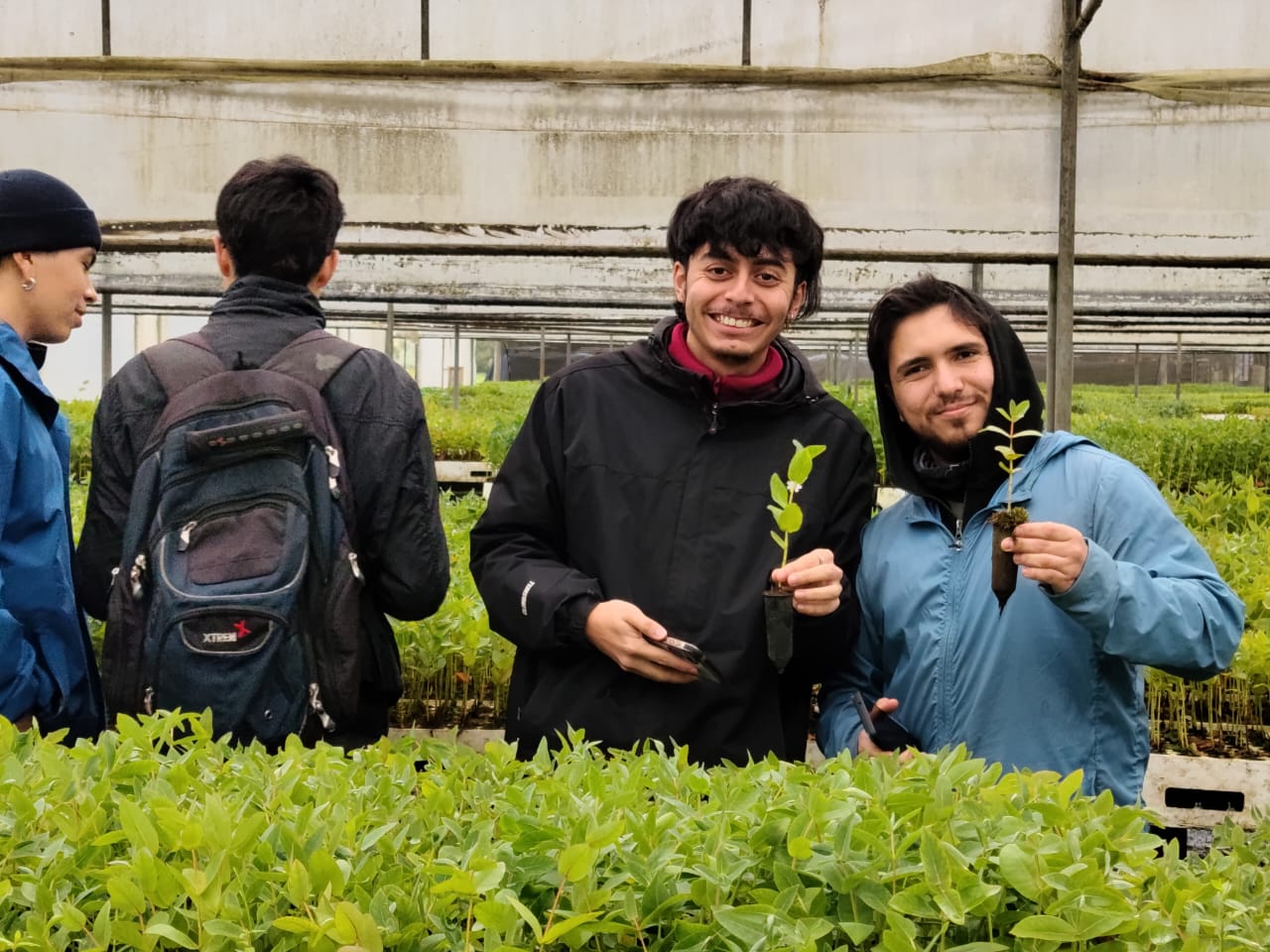Estudiantes descubrieron en terreno técnicas de producción de plantas en vivero