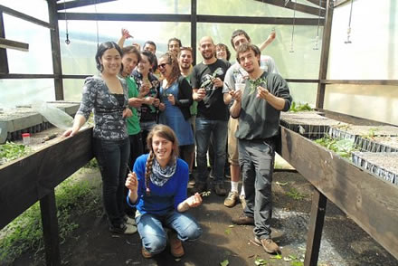 Estudiantes de Ingeniería Forestal y Conservación de Recursos Naturales propagan especies nativas