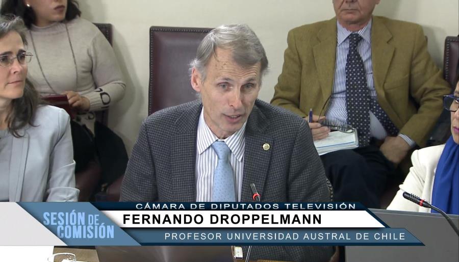 Académico de la UACh resalta el valor del sector forestal en Chile en Cámara de Diputados