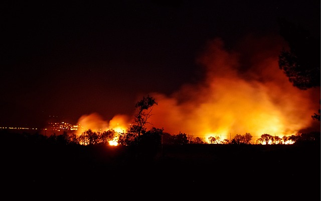Fondecyt de Iniciación modelará el riesgo de incendios desde la región de Valparaíso a la de Los Lagos