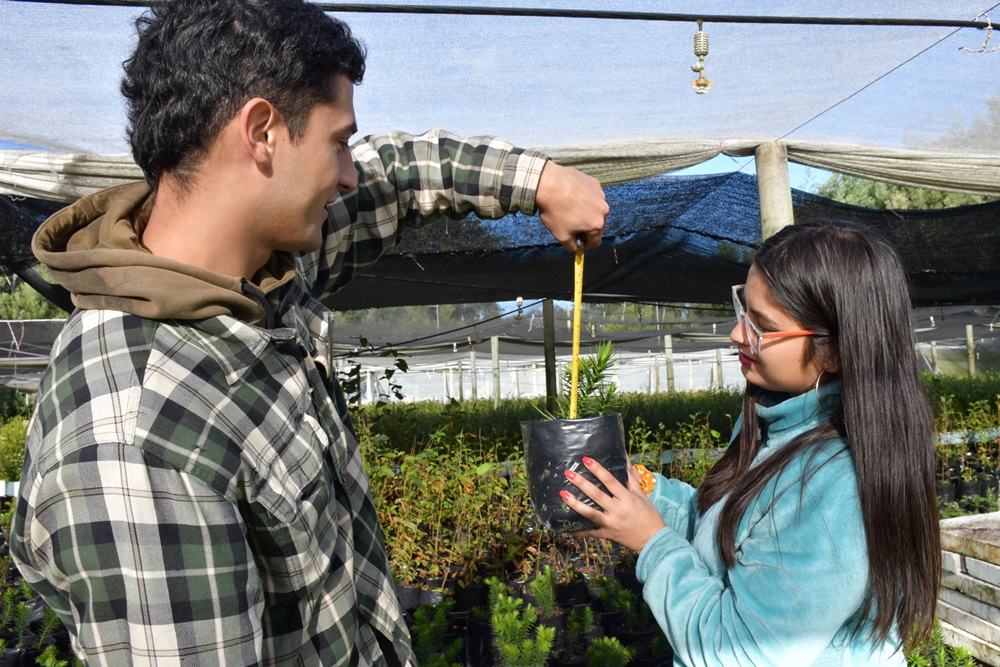 Área forestal y agrícola de la UACh en 3° lugar nacional en Ranking QS World University by Subject 2025