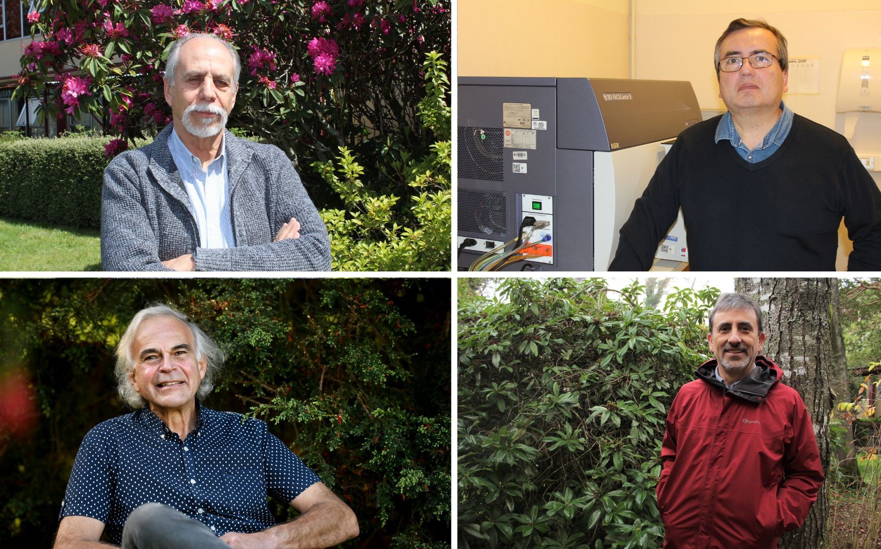 Ranking Elsevier destaca líneas de investigación del área silvoagropecuaria UACh