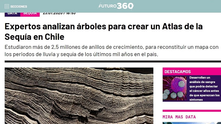 Expertos analizan árboles para crear un Atlas de la Sequía en Chile
