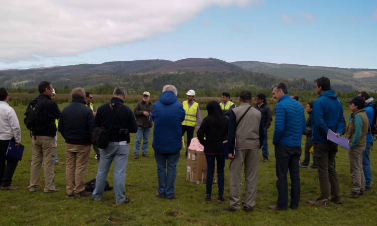 Promueven manejo forestal responsable en Valdivia