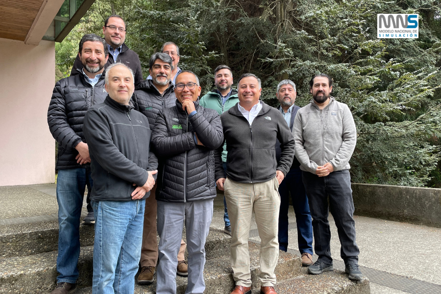 Taller del Modelo Nacional de Simulación capacita a empresas forestales