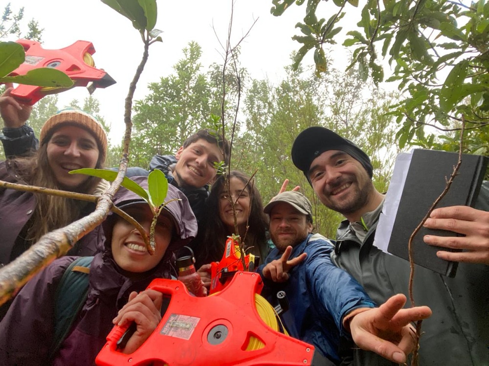 Estudiantes de postgrado profundizan en la dinámica de bosques y restauración