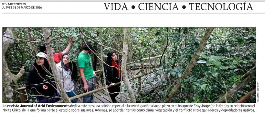 Casi un tercio de las aves de Chile está en el bosque Fray Jorge