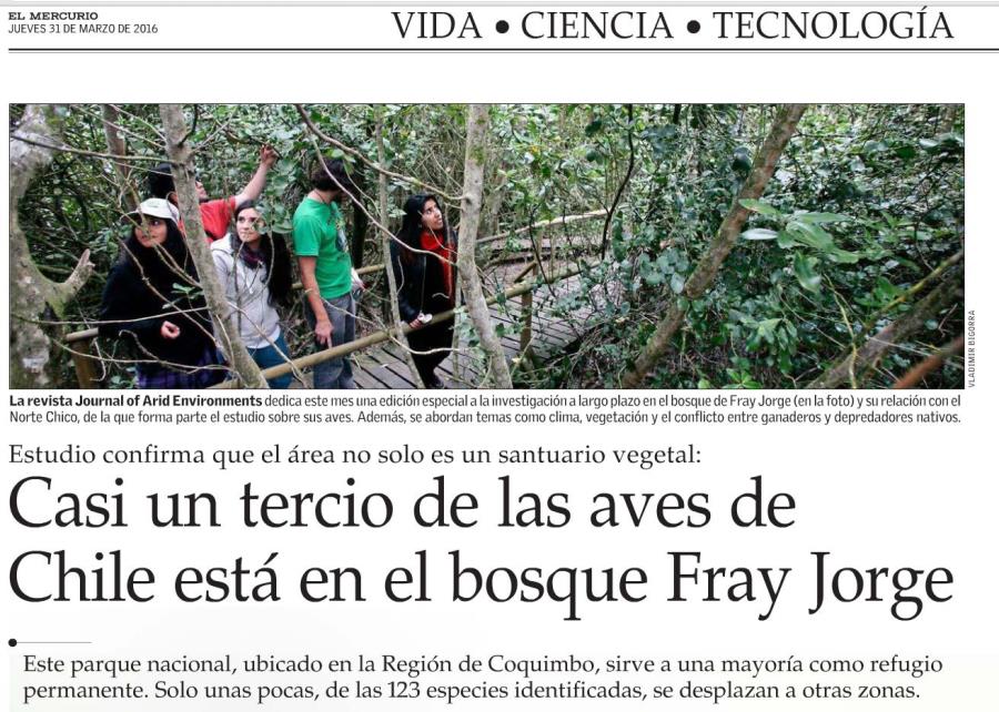 Casi un tercio de las aves de Chile está en Reserva Fray Jorge