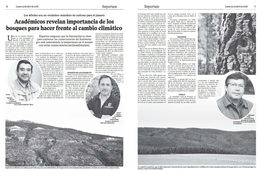 Académicos revelan importancia de los bosques para hacer frente al cambio climático