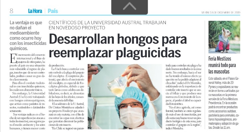 Desarrollan hongos para reemplazar plaguicidas