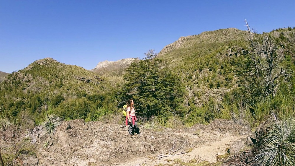 Bióloga se gradúa del programa de Doctorado en Ecosistemas Forestales y Recursos Naturales
