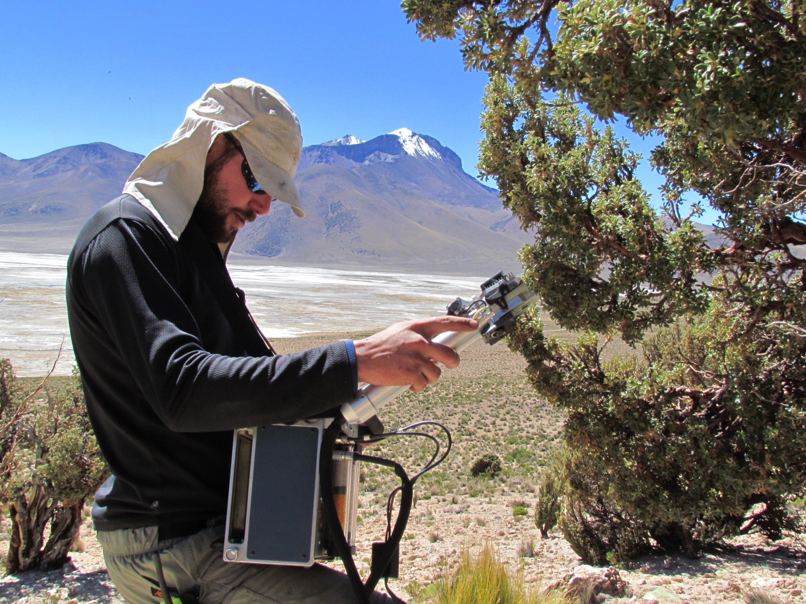 Investigadores se unen en busca de súper plantas