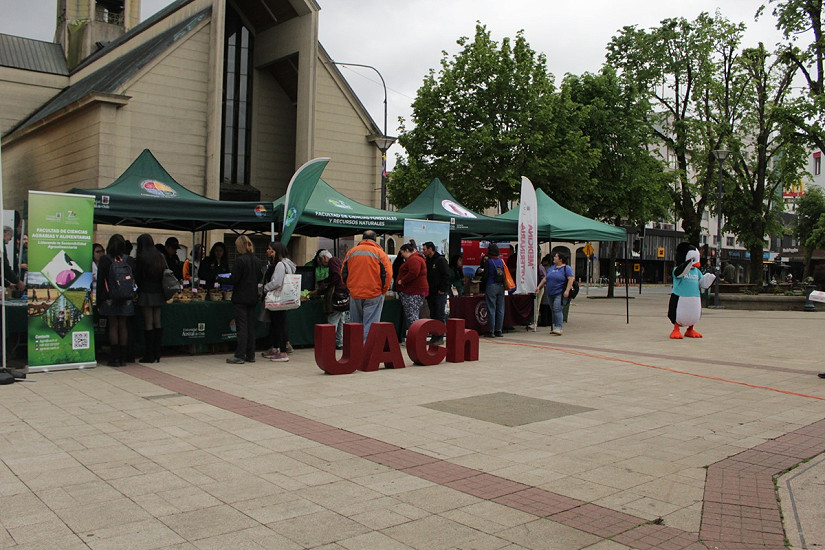 Feria Silvoagropecuaria llevará ciencia y vinculación a la Plaza de la República en Valdivia
