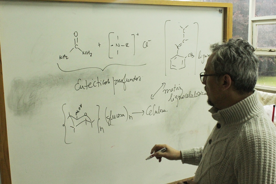 Investigación permitirá separar componentes de la madera de forma eficaz y ambientalmente amigable
