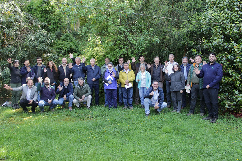 Finaliza exitoso proyecto que generó árboles híbridos de roble-raulí para diversificar la industria forestal