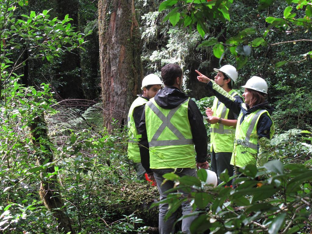 Director de Escuela, Dr. Óscar Thiers E., saluda a Ingenieros Forestales en su día