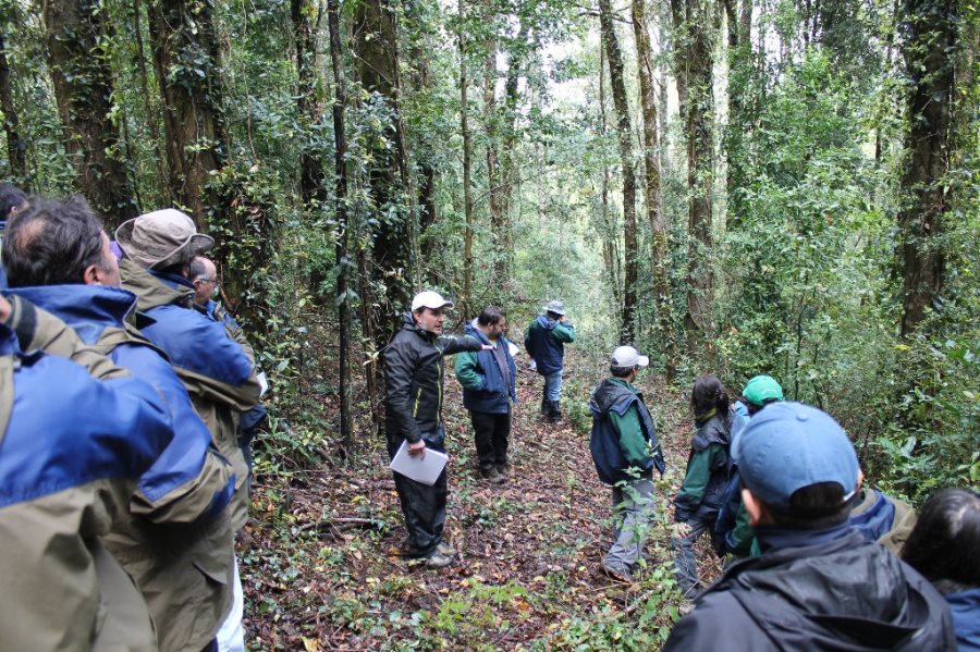 UACh dictó curso sobre suelos forestales a profesionales de CONAF