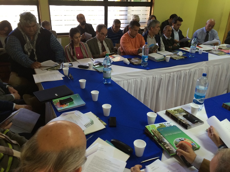 UACh participa en segunda sesión del Consejo de Política Forestal