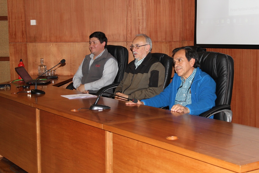 Expertos de la UACh discuten el real estado de conservación de la araucaria en Chile