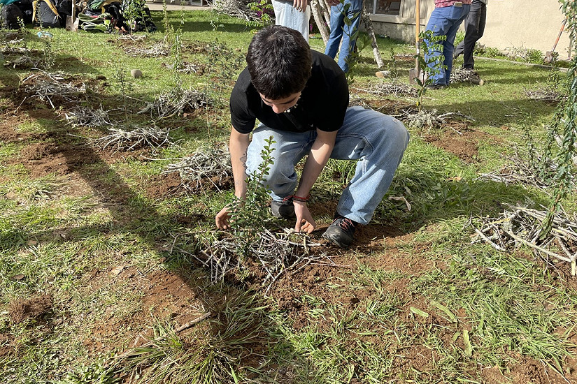 Estudiantes de la UACh plantan especies del bosque esclerófilo en el frontis de su Facultad