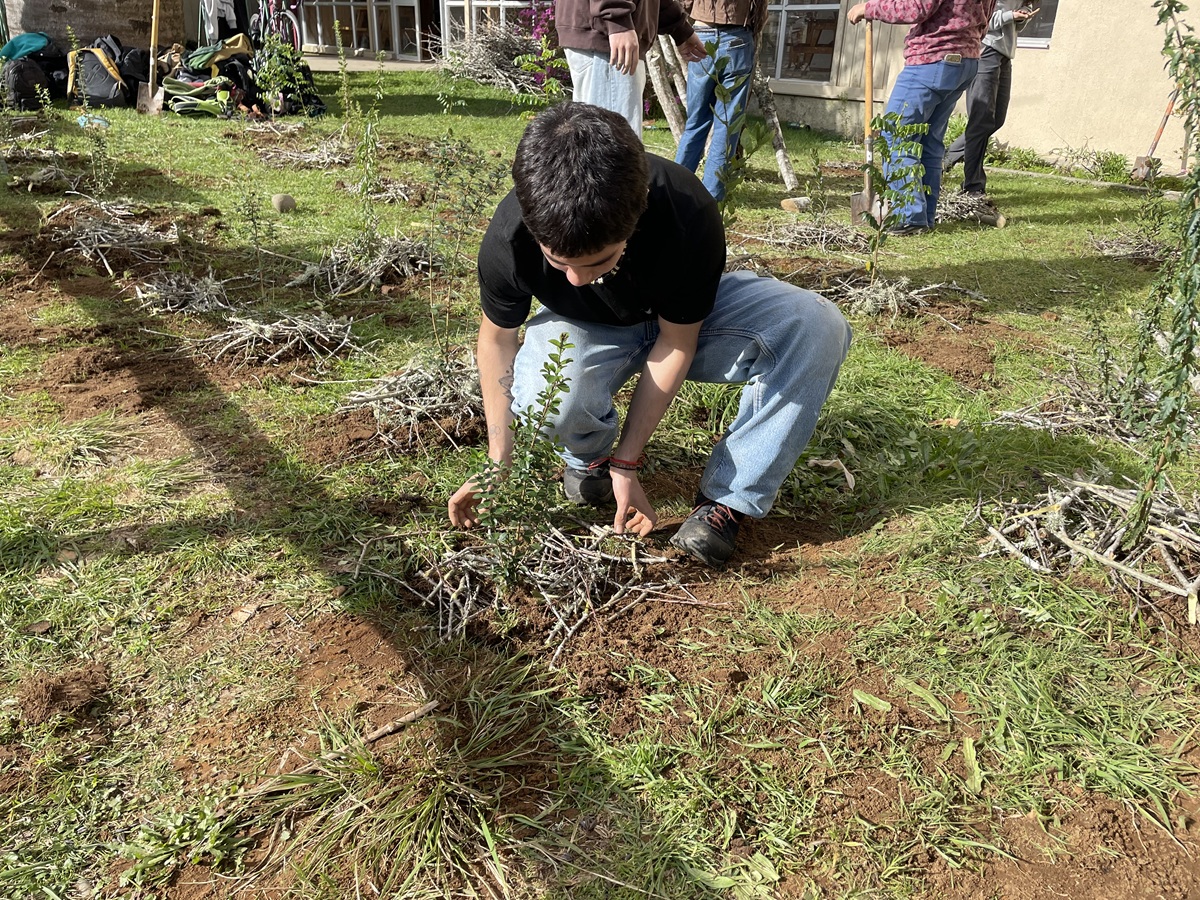 Estudiantes de la UACh plantan especies del bosque esclerófilo en el frontis de su Facultad
