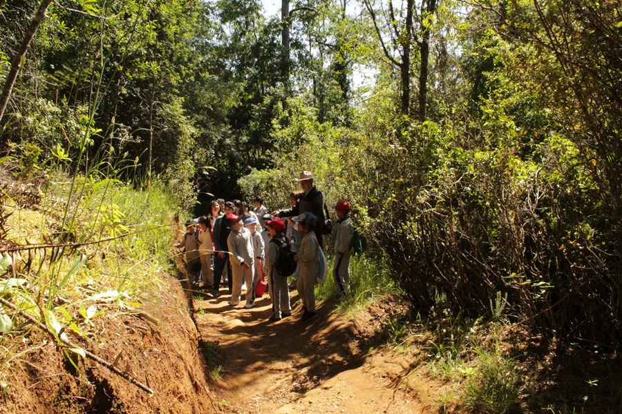 Escuela Claudio Arrau de Osorno visita Arboretum
