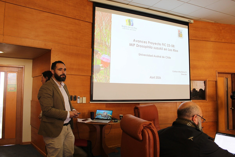 Proyecto que busca estrategias de manejo contra plaga presenta avances ante la Mesa Frutícola de Los Ríos