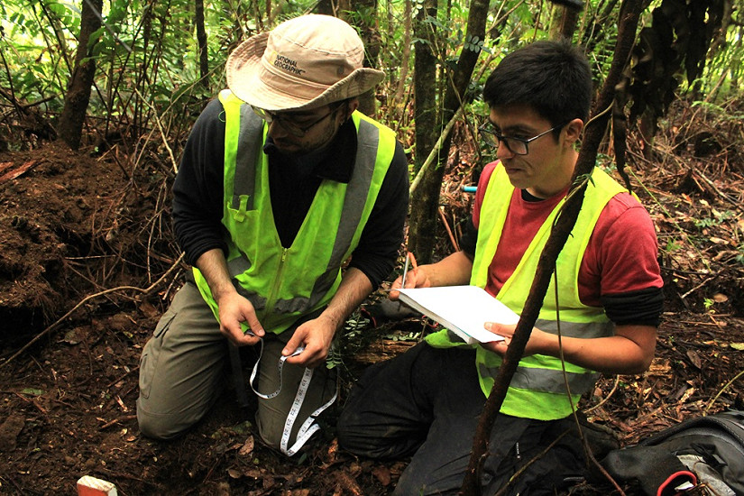 Profesionales y estudiantes de Ingeniería Forestal recolectaron datos en terreno