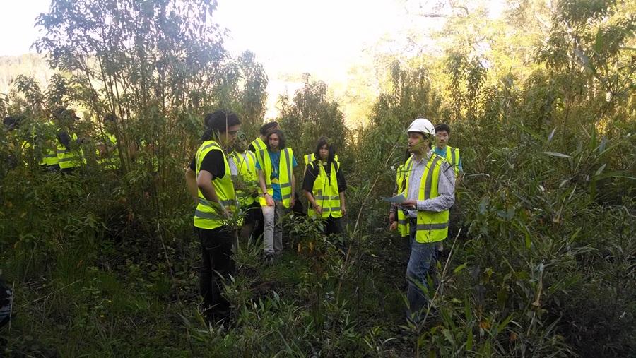 Instituto de Bosques y Sociedad difunde entre estudiantes Programa de restauración de bosque nativo