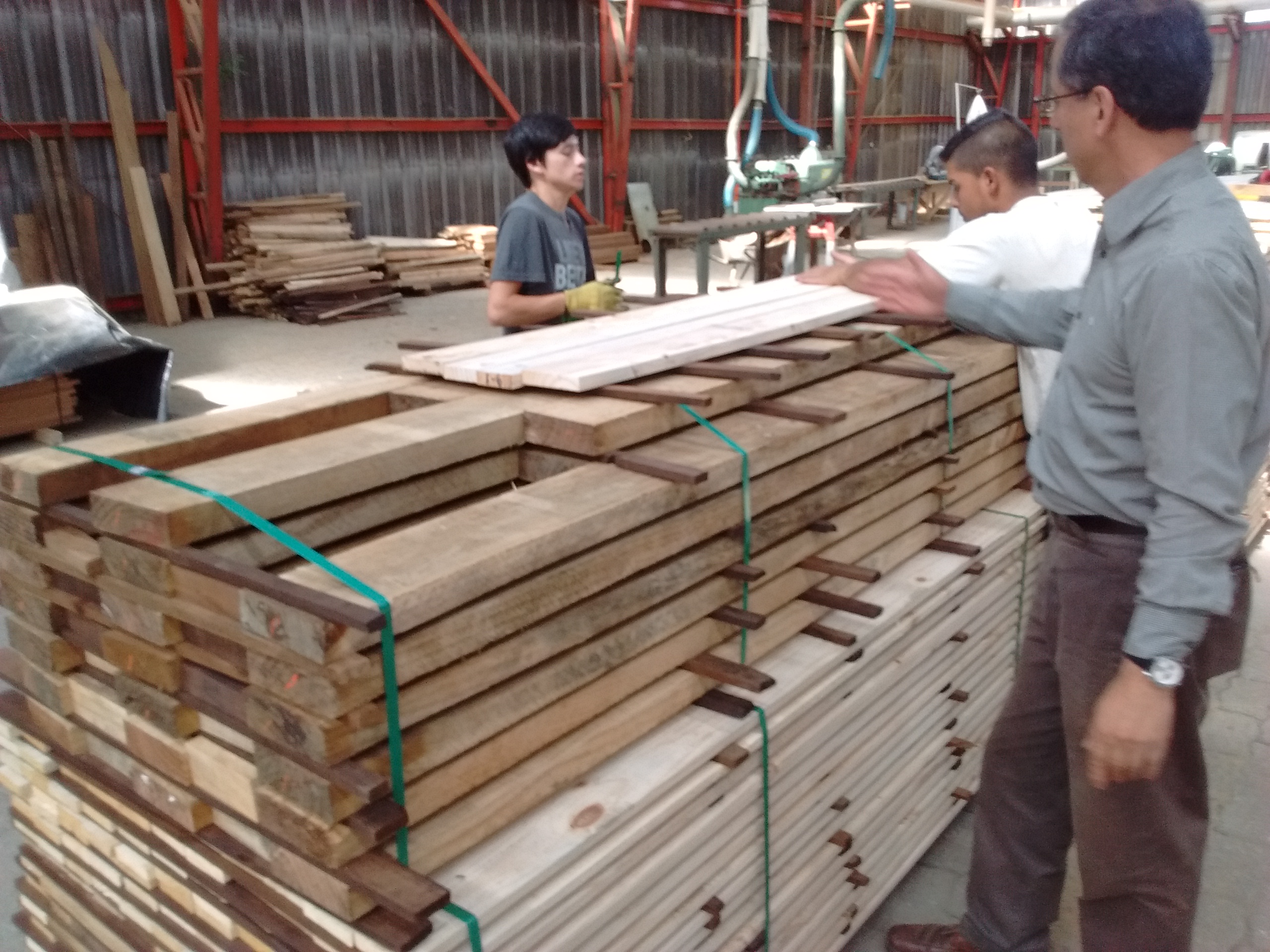 Empresa Maderera Valdivia Ltda. trabajará con UACh modificando madera de pino radiata