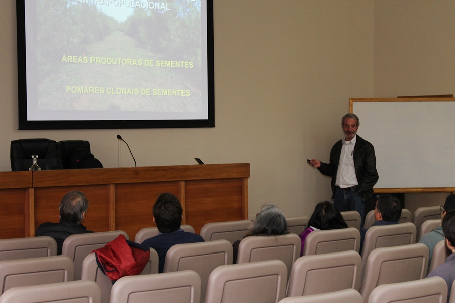 Bosques clonales en Brasil: árboles con mejores capacidades de adaptación