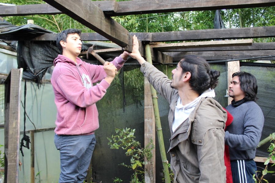 Estudiantes se organizan y restauran vivero del Arboretum