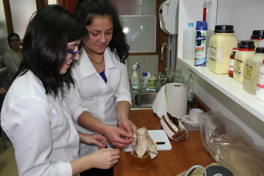 Laboratorio de Salud de Bosques y Ecosistemas abrió sus puertas a escolares del Liceo San Conrado