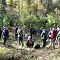 Áreas de agricultura y forestal de la UACh se encuentran entre las 250 mejores del mundo