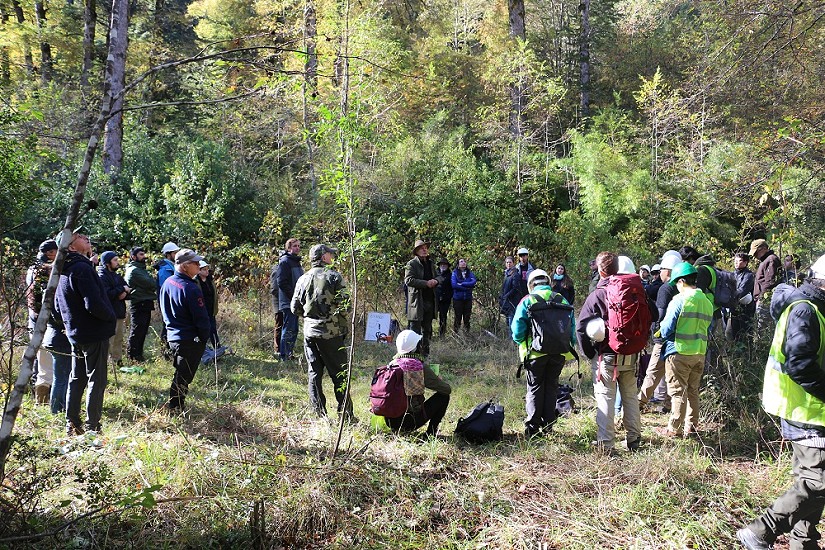 Áreas de agricultura y forestal de la UACh se encuentran entre las 250 mejores del mundo