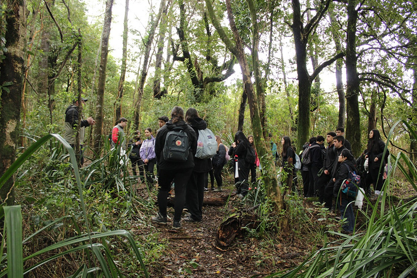 Colegio Alemán de La Unión conoce biodiversidad del Arboretum de la UACh