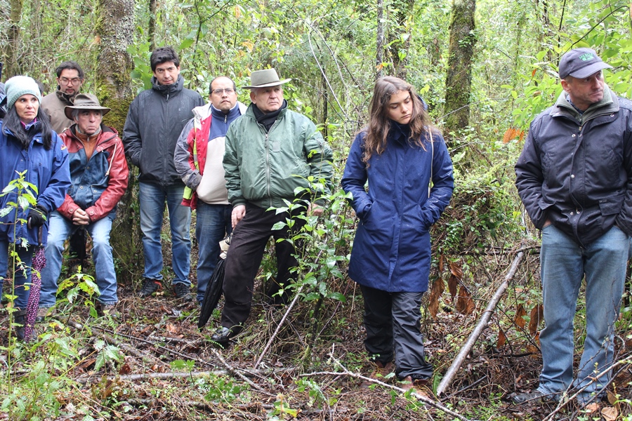 Actores del sector forestal analizan manejo integral del bosque nativo