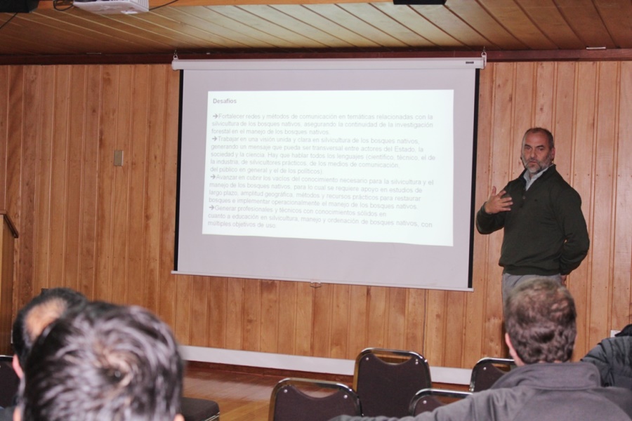 Académicos presentan libro que recopila experiencias en manejo de bosque nativo