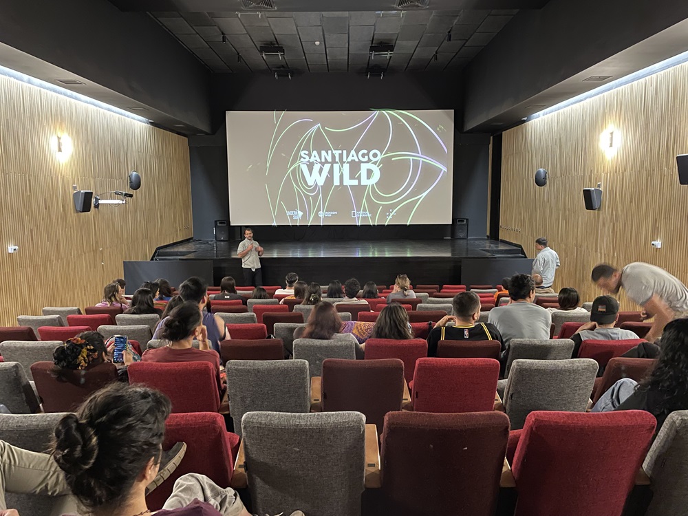 Santiago Wild Fest 2024 en Valdivia: festival de cine de vida salvaje y medioambiente