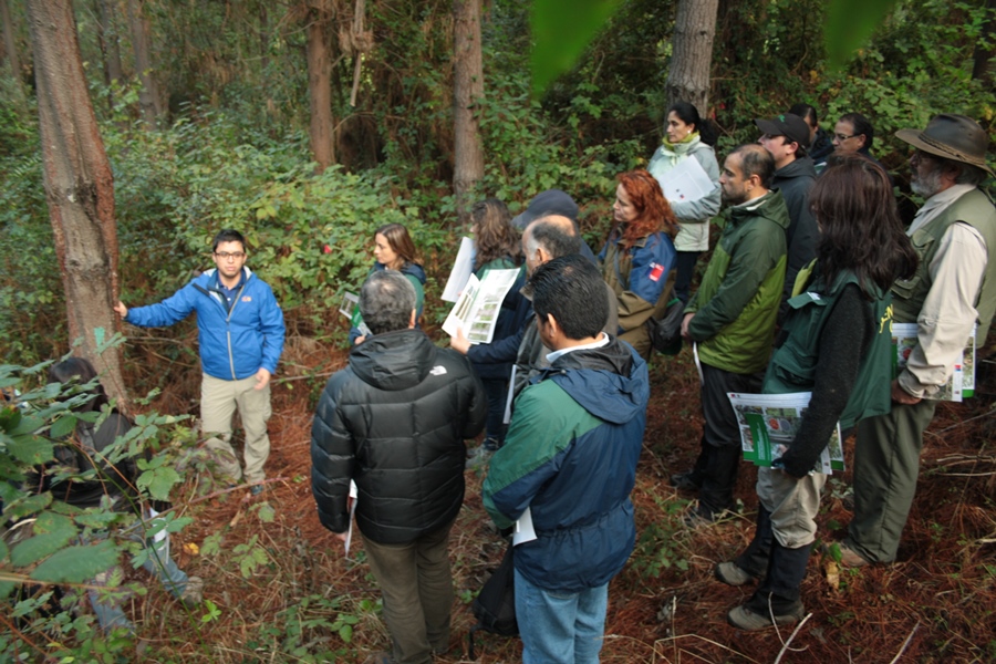 Investigadores del Laboratorio de Salud de Bosques y Ecosistemas  de la UACh participan en taller sobre Sanidad Forestal