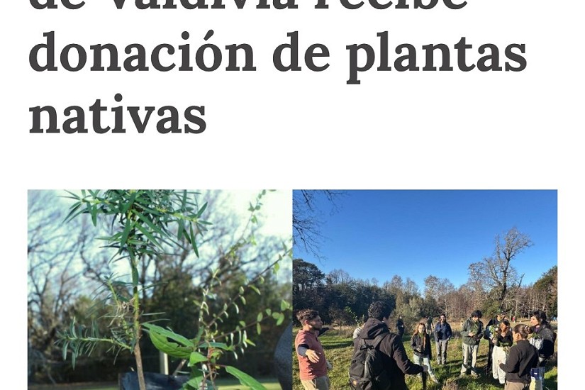 Bosque Comestible de Valdivia recibe donación de plantas nativas