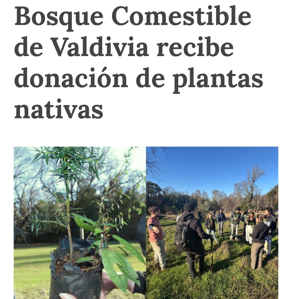 Bosque Comestible de Valdivia recibe donación de plantas nativas