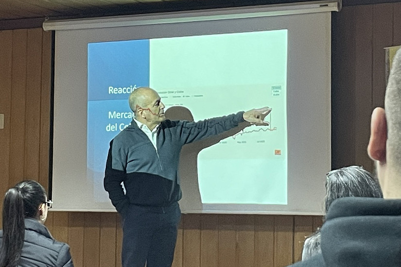 Ingeniero forestal expone sobre el crecimiento mundial y cómo afecta a los productos chilenos