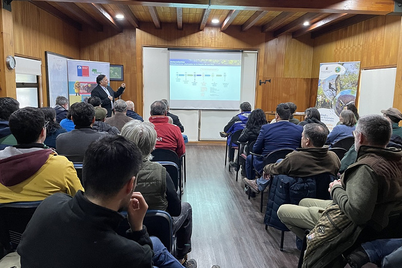 El 63% de la superficie de la Región de Los Ríos está cubierta por ecosistemas boscosos