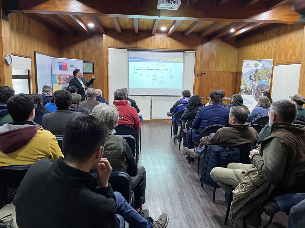 El 63% de la superficie de la Región de Los Ríos está cubierta por ecosistemas boscosos