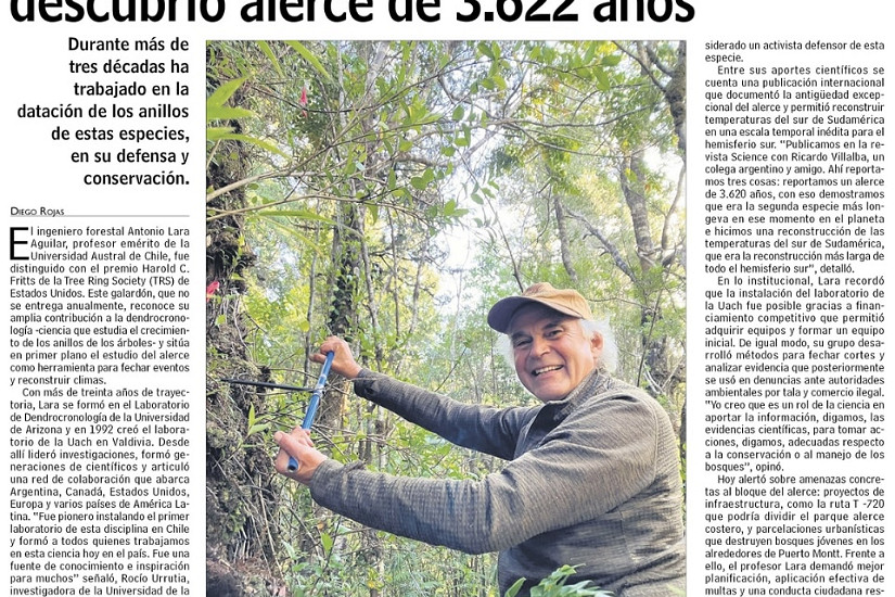 Premian a Ingeniero Forestal que descubrió alerce de 3622 años